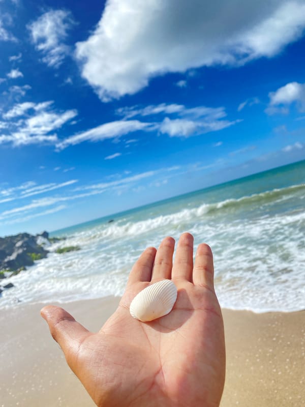 Afternoon beach leisure activities documented at Pedro González, Venezuela