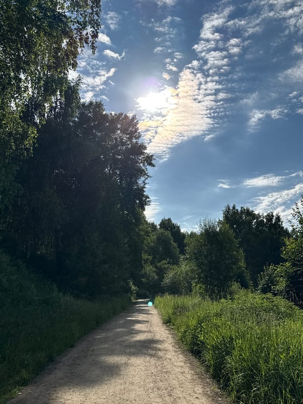 Sunny morning stroll through a lush Moscow park