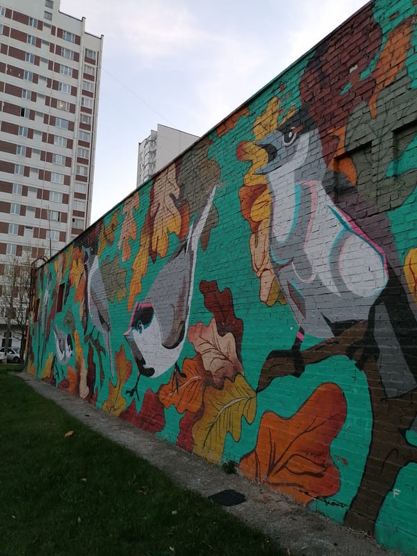Urban murals and sunset landscapes documented across 30 minutes