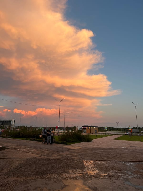 Evening moments captured in Samara: sunset, playground, flowers