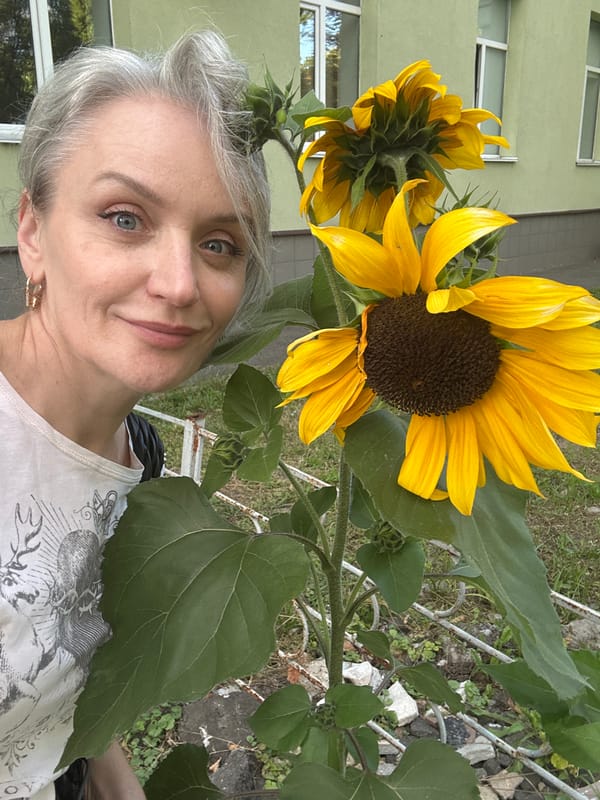 Sunflowers in full bloom outside a Kyiv building