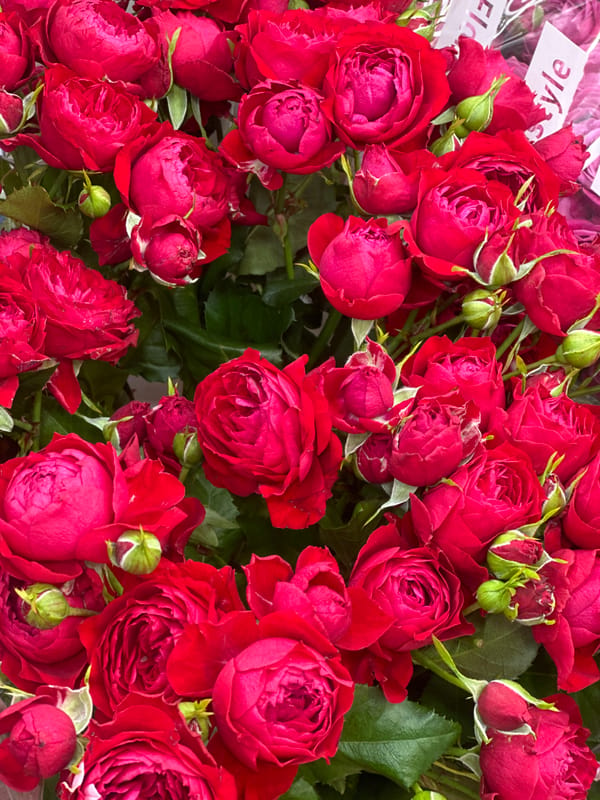 Woman displays multiple flower bouquets in evening Surgut scene