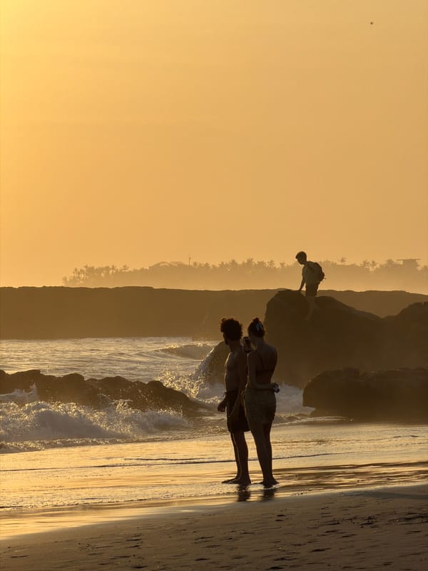 Sunset beach scene in North Kuta with surfers, walkers, and dogs