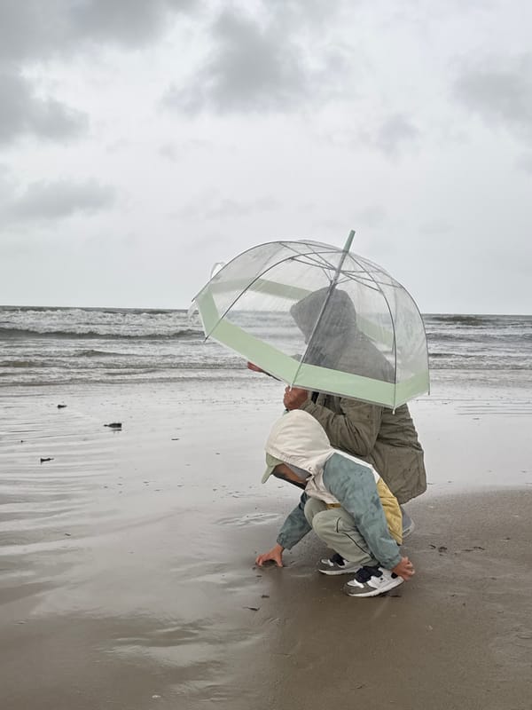 Rainy morning on a rough Baltic beach in Liepāja