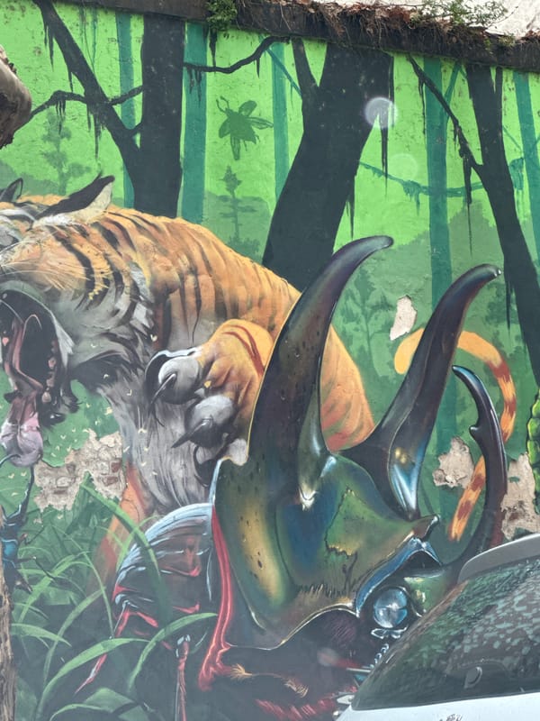 Wildlife street murals spotted in Buenos Aires
