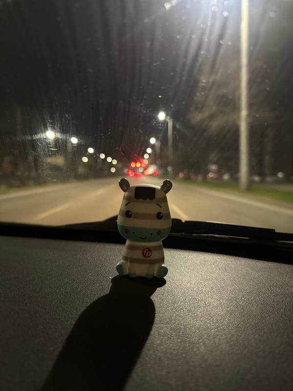 Zebra toy spotted on car windshield in Plovdiv night street
