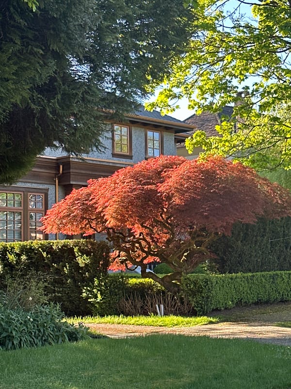 Vancouver Residents Document Neighborhood Houses During Late Night Hours