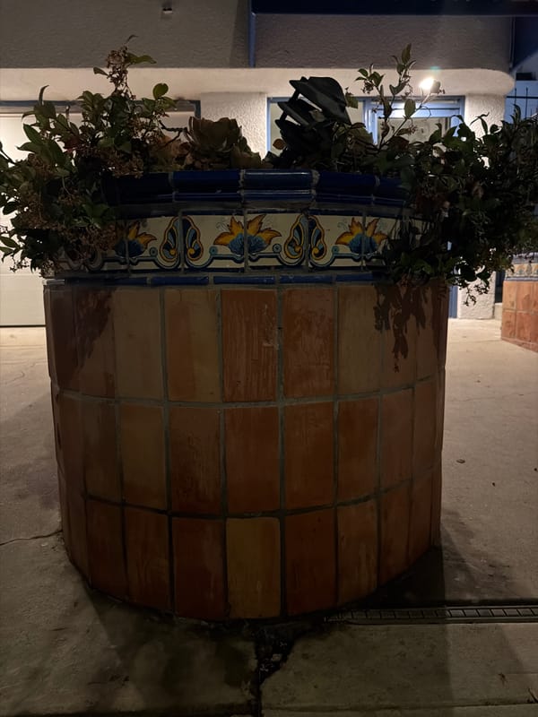 Late-night stroll through a Spanish-style neighborhood, flowers and all.