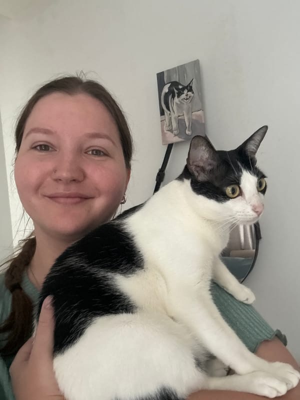 Cat enjoys quiet morning moments with owner in Đà Nẵng home