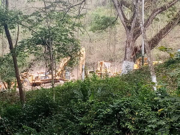 Family river outing documented in rural Tinaquillo, Venezuela