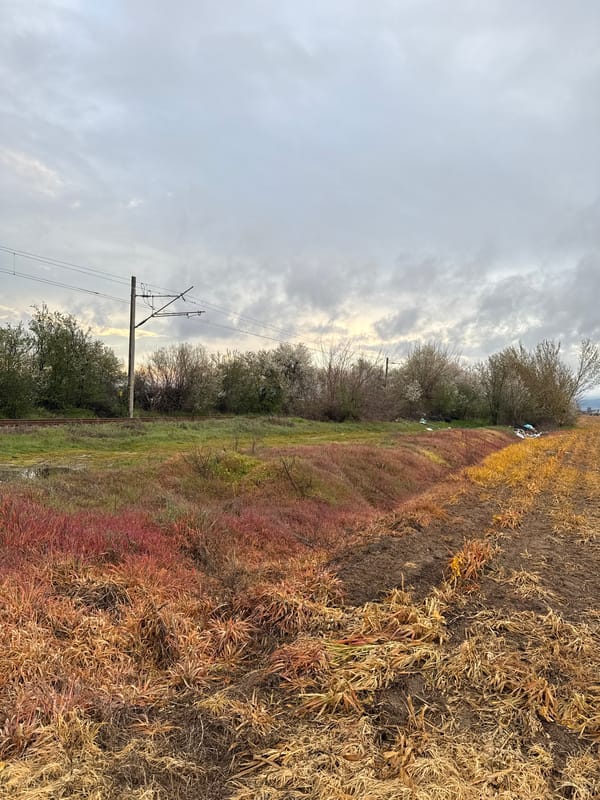 Rural landscape scenes documented in Trud, Bulgaria