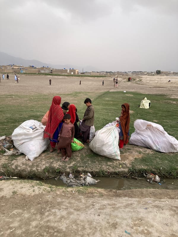 Children play around fallen trees in Quetta gathering