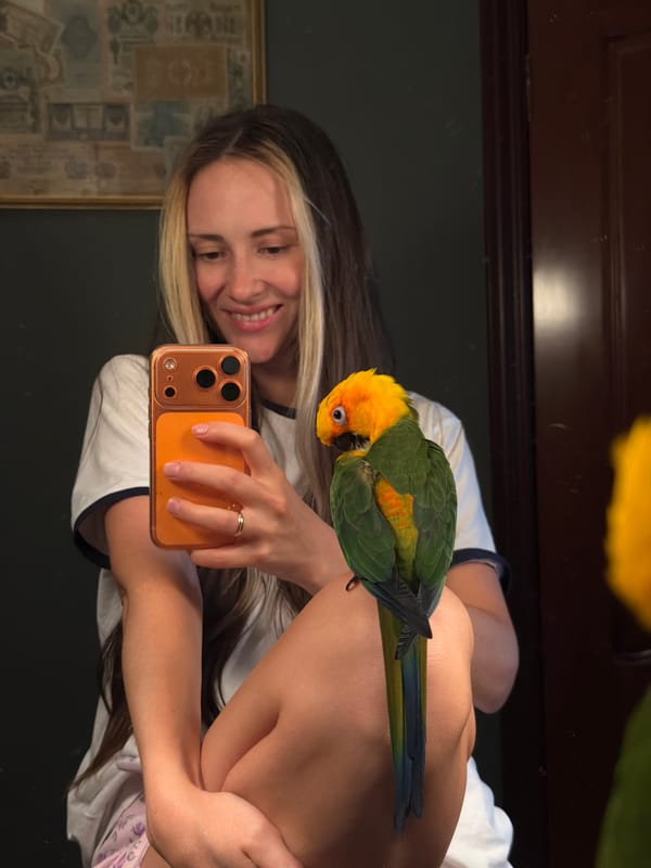 Casual afternoon at home in Khimki with a parrot and fast food