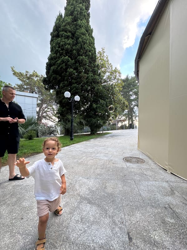 Afternoon walk along a tree-lined path in Sochi