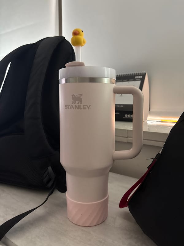 Pink Stanley bottle with duck decoration spotted in Medellín