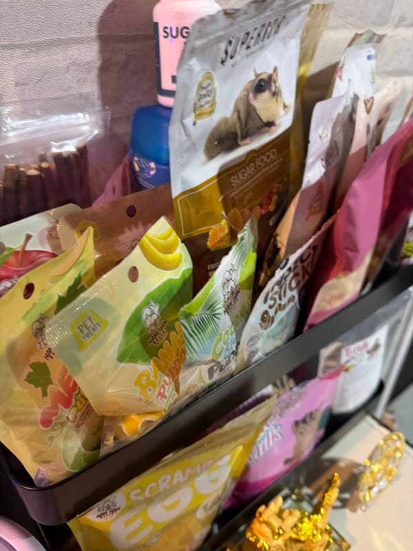 Bangkok resident documents evening domestic routine with pets and household items
