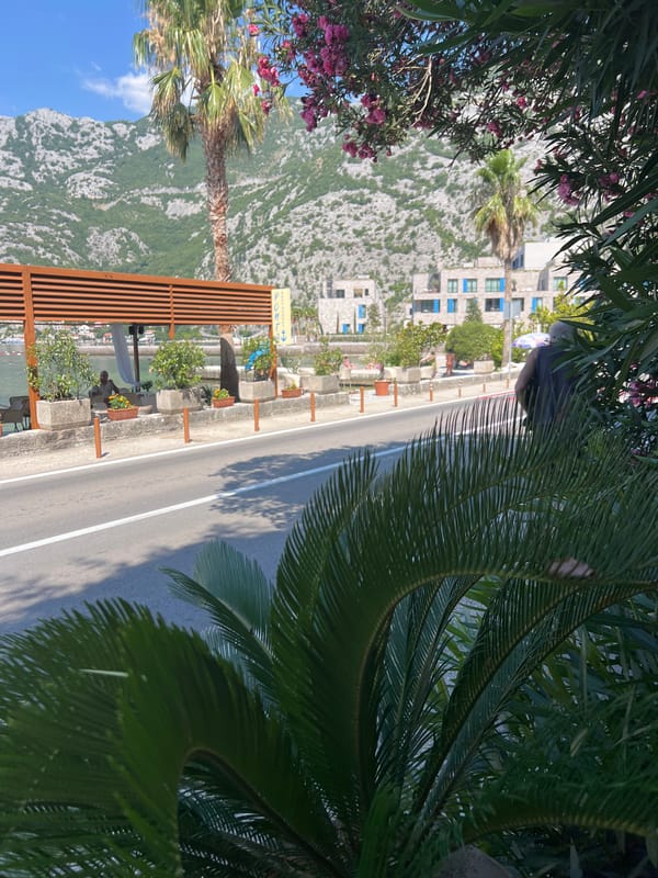 Risan's Bay of Kotor waterfront in full morning swing