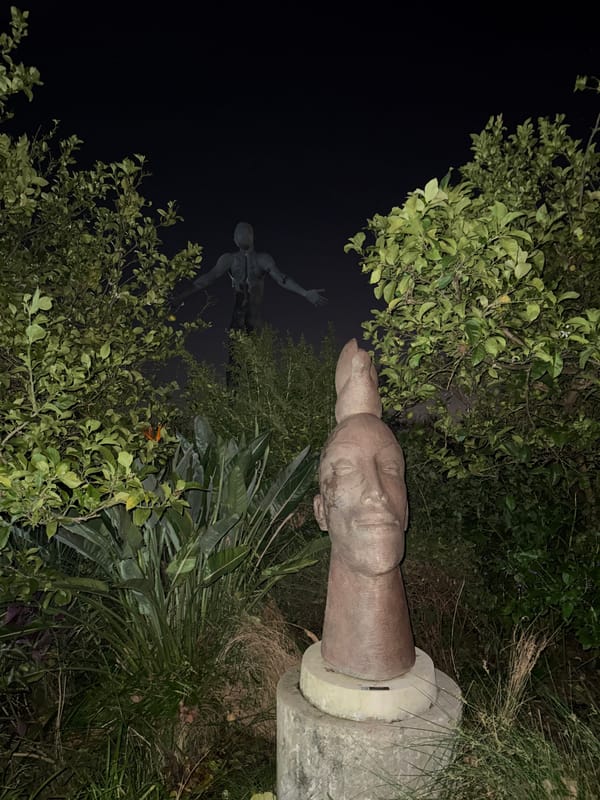 Outdoor sculptures documented in Cape Town park installation