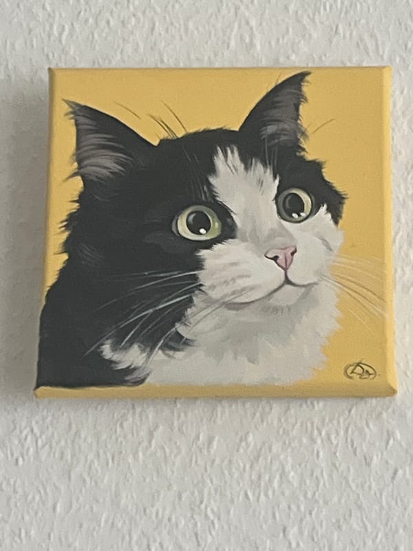 Cat paintings, collectible figurines, and blue skies in Hanover
