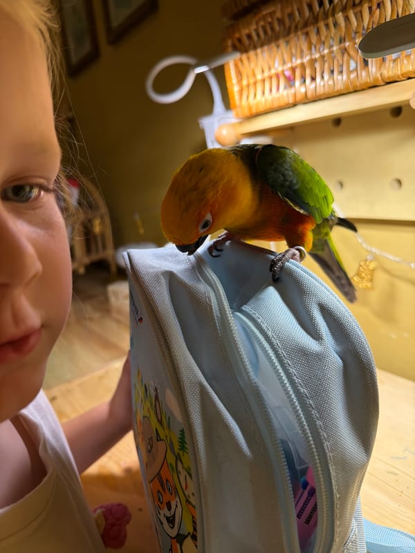 Lazy afternoon at home with a parrot in Khimki