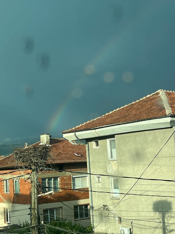 Storks, rainbows, daily life documented in Bulgarian village