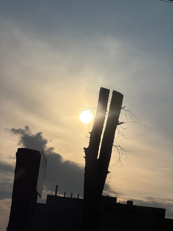 Ordinary moments captured across Izhevsk during afternoon hour
