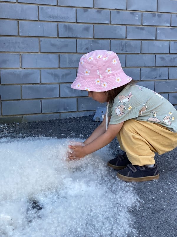 Toddler plays in cottonwood fluff covering Tyumen streets