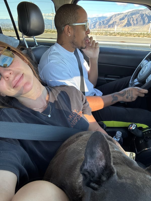 Family with dog travels highway in Palm Desert