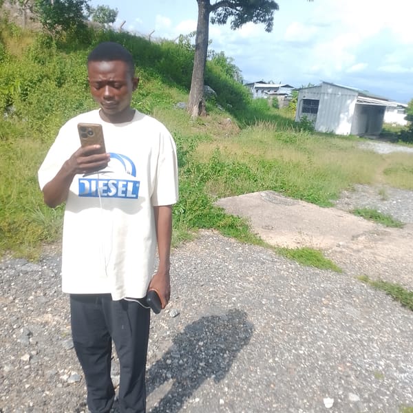 Around a Nigerian compound: buildings, plants, and daily life