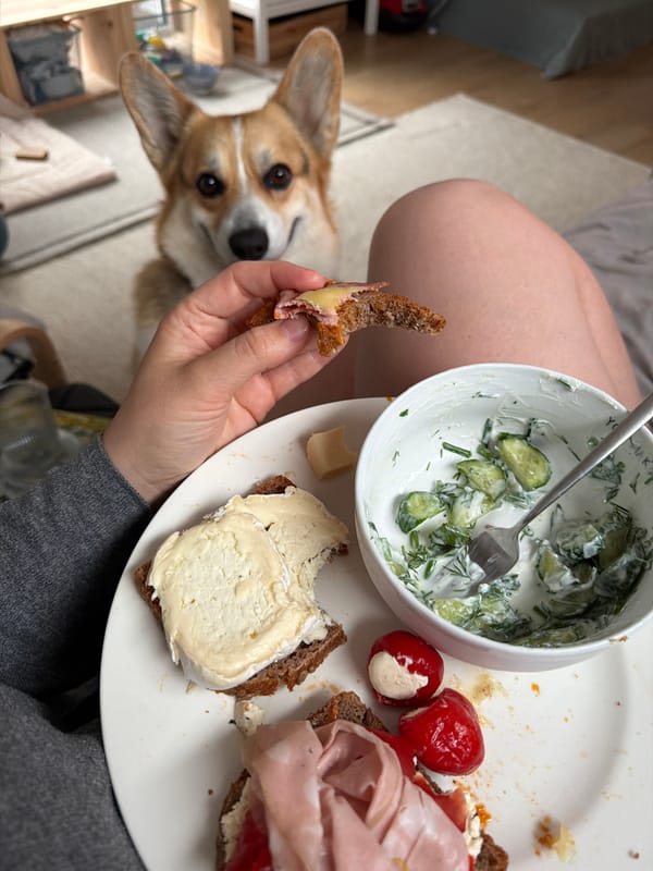 Quiet Evening Home: Corgi, Dinner, Self-Care in German Village