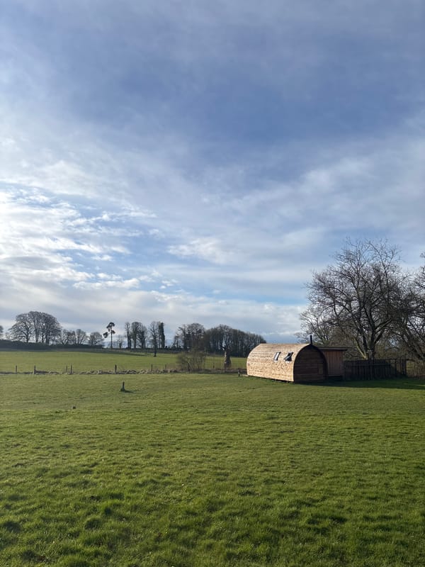 Highland cow rests in Scottish field near Leven