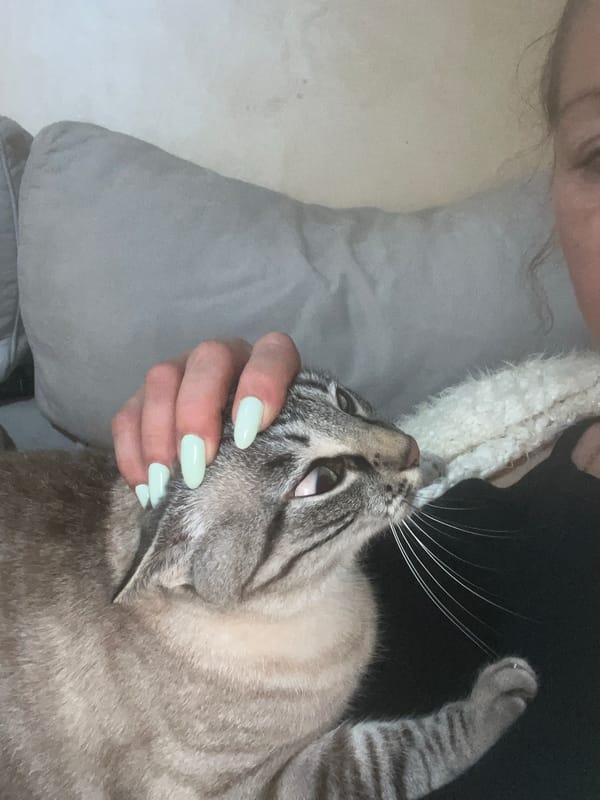 Person with green nails holds tabby cat in Salou