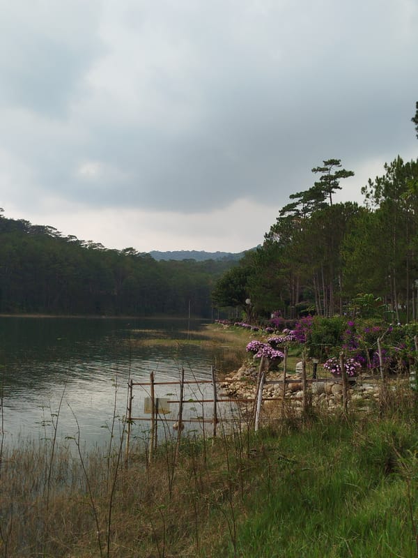 Tourist spots and wildlife documented in Da Lat morning tour