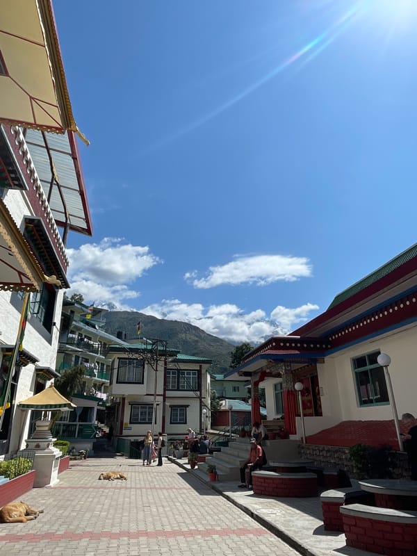 Early morning documentation of Dharamshala streets and Buddhist temple