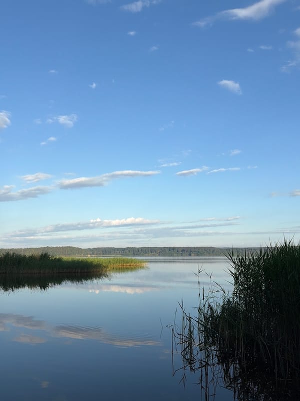 Lakeside camp with metal detecting, fishing, and quiet water scenes