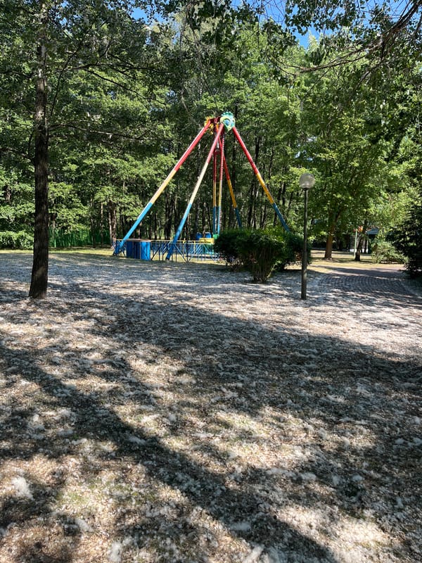 Russian Amusement Park Documented During Spring Poplar Season