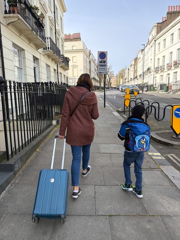 Morning pedestrians and window cat spotted in central London