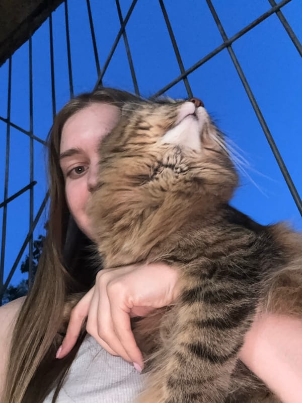 Woman and tabby cat captured in casual moments, Perm