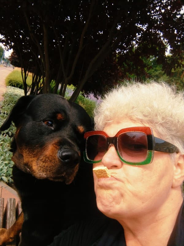 Rottweiler and owner enjoy a park morning in Horishni Plavni