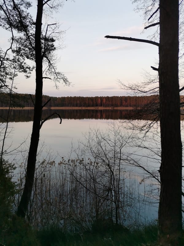 Twilight lake and forest scenes documented in Belarus