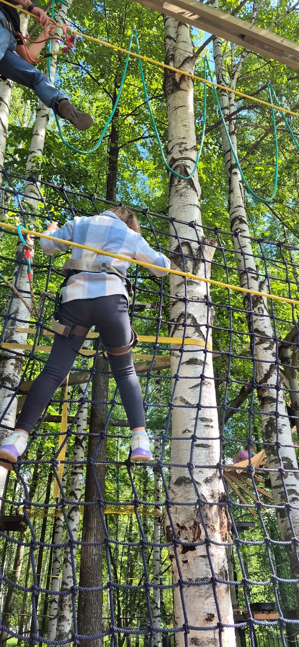 Woman completes aerial rope course at outdoor adventure park