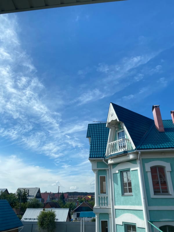Morning observations document Chaikovsky residential area and bee pollination
