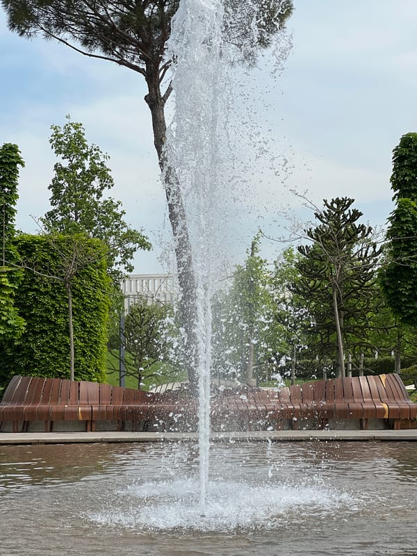 Morning street life documented across Krasnodar parks and roads