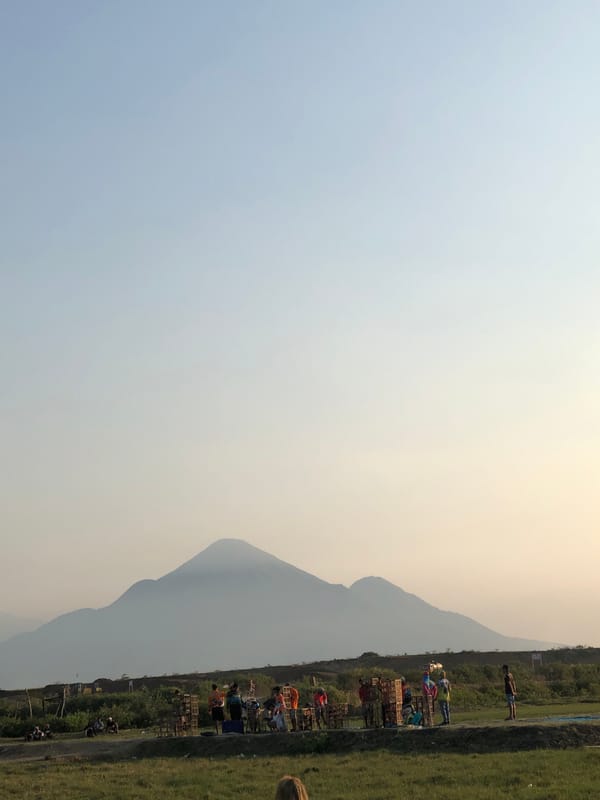 Rural East Java morning: markets, buffalo, and farmland in motion