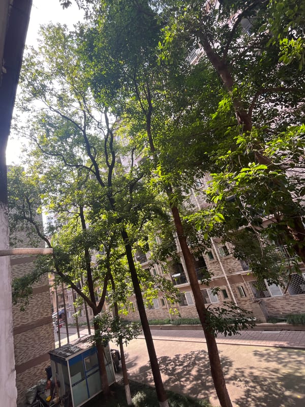 Morning life documented across Yuzhong District residential areas