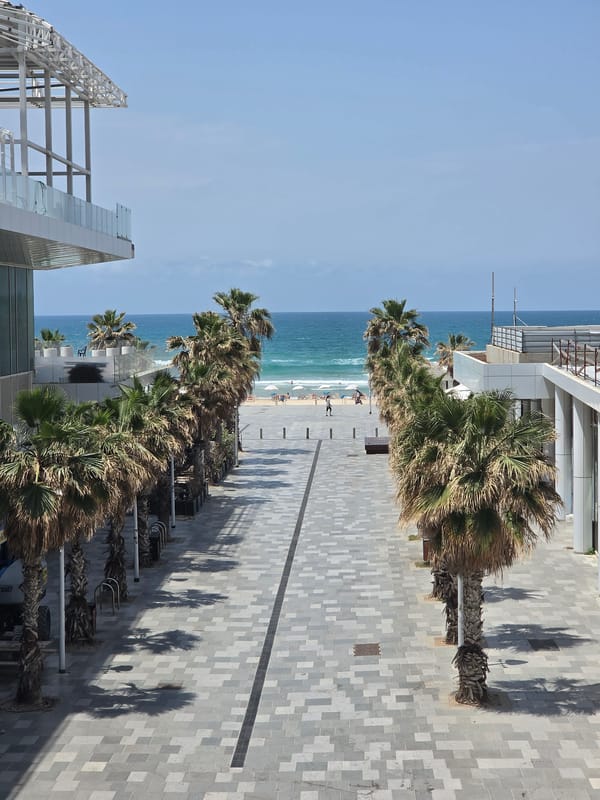 Morning beachgoers enjoy palm-lined walkway in Bat Yam