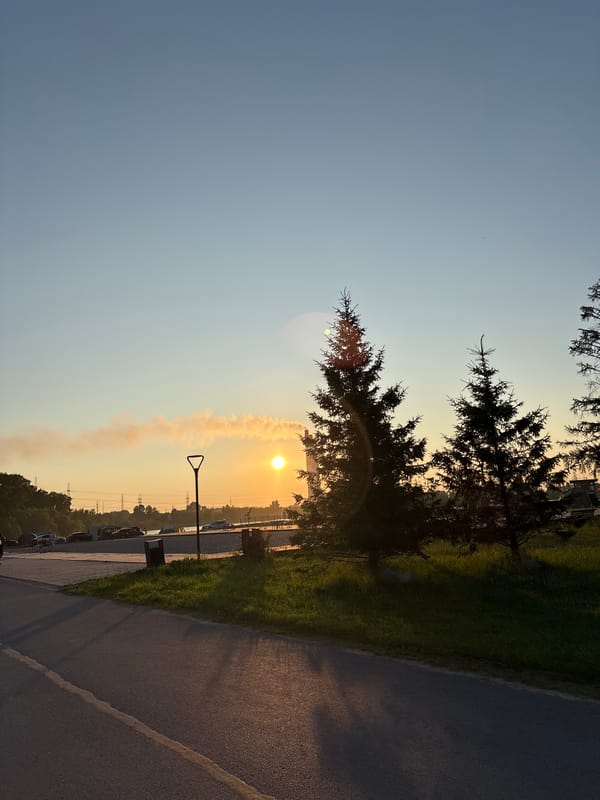 Golden hour along tree-lined paths in Inskoy, Russia