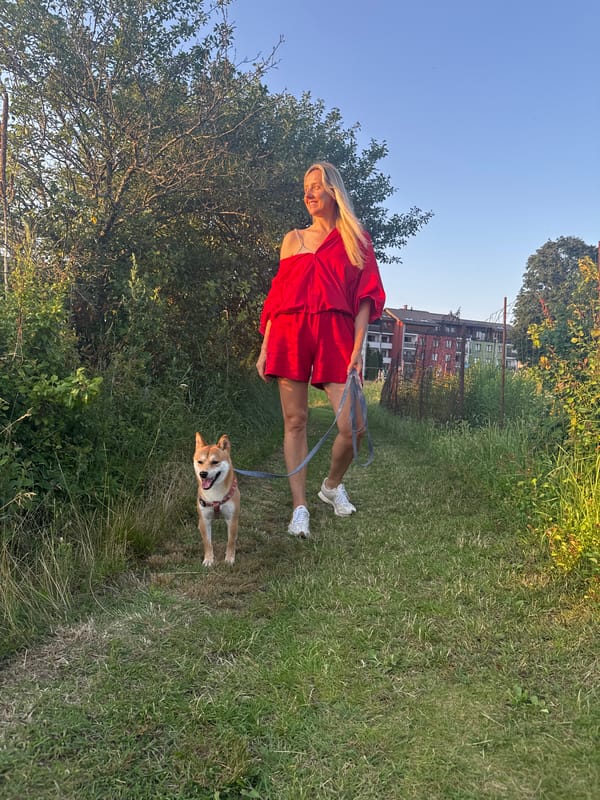Shiba Inu walk on a quiet green path in Carnikava