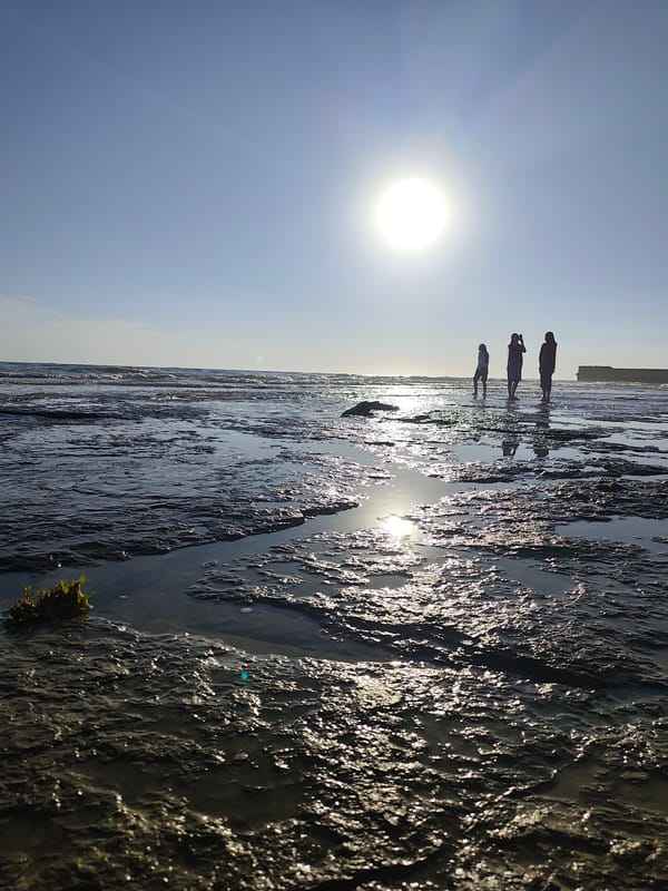 Sunny afternoon at Aktau's Caspian shoreline and water park