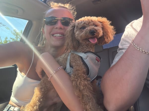 Cruising Kyiv with a poodle, sunroof open on a summer afternoon